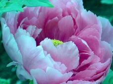 185778_1.jpg  : 26 KB