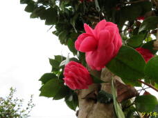 185791_1.jpg  : 44 KB