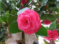 185791_3.jpg  : 51 KB