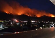 185794_1.jpg  : 30 KB