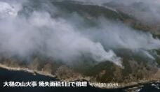 185794_2.jpg  : 28 KB