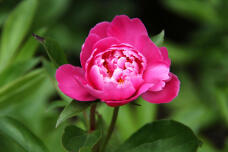 185794_3.jpg  : 49 KB