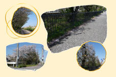 185796_1.jpg  : 238 KB