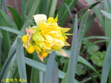 185804_2.jpg  : 40 KB