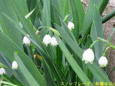 185804_3.jpg  : 49 KB