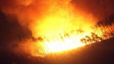 185806_3.jpg  : 41 KB