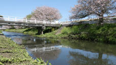 185808_1.jpg  : 289 KB