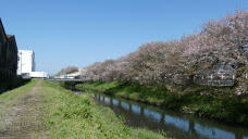 185808_2.jpg  : 245 KB