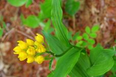 185809_1.jpg  : 89 KB