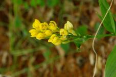 185809_2.jpg  : 81 KB