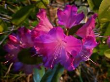 185814_1.jpg  : 34 KB