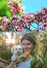 185836_2.jpg  : 124 KB