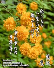 185842_1.jpg  : 234 KB