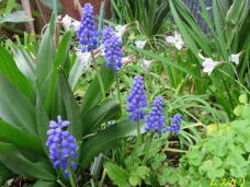 185852_3.jpg  : 73 KB