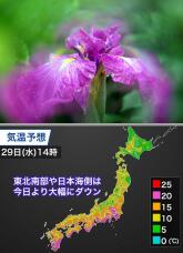 185854_1.jpg  : 89 KB