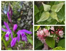 185858_1.jpg  : 91 KB