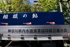 185862_10.jpg  : 77 KB