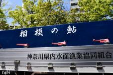 185862_9.jpg  : 83 KB