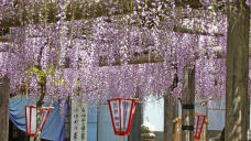 185870_1.jpg  : 320 KB