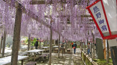 185870_2.jpg  : 349 KB