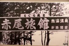 186033_1.jpg  : 67 KB