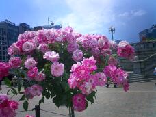 186143_2.jpg  : 128 KB