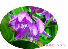186149_3.jpg  : 78 KB