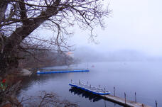 186176_1.jpg  : 202 KB