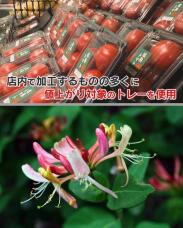 186190_2.jpg  : 118 KB