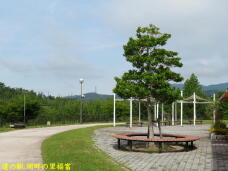 186355_3.jpg  : 53 KB