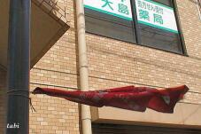186367_10.jpg  : 72 KB