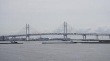 186476_1.jpg  : 102 KB