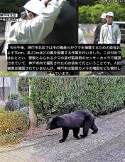 186563_2.jpg  : 243 KB