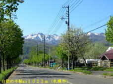 186632_1.jpg  : 81 KB