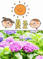 186671_2.jpg  : 135 KB