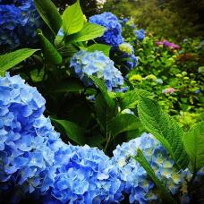 186722_3.jpg  : 144 KB