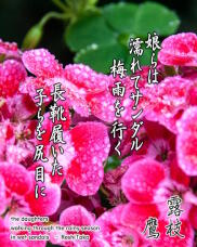 186854_1.jpg  : 267 KB