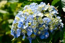 186894_10.jpg  : 77 KB