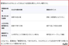 186894_6.jpg  : 79 KB