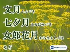 186901_3.jpg  : 87 KB