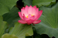 186953_3.jpg  : 41 KB