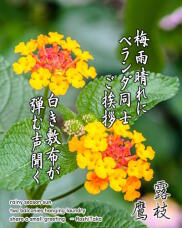 186971_1.jpg  : 245 KB