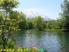 186977_3.jpg  : 90 KB