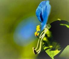 187004_1.jpg  : 45 KB