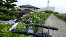 187040_1.jpg  : 245 KB