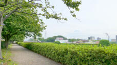 187054_1.jpg  : 255 KB