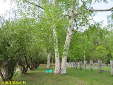 187138_3.jpg  : 101 KB