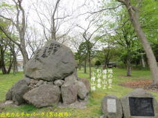 187237_3.jpg  : 89 KB