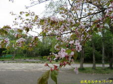 187251_2.jpg  : 92 KB