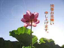 187338_1.jpg  : 270 KB